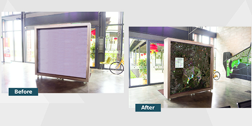 Tropicana Aman — gigapixel sales-gallery wall map by Fresnel (before / after)